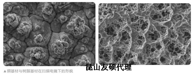 汕头蔡司汕头扫描电镜