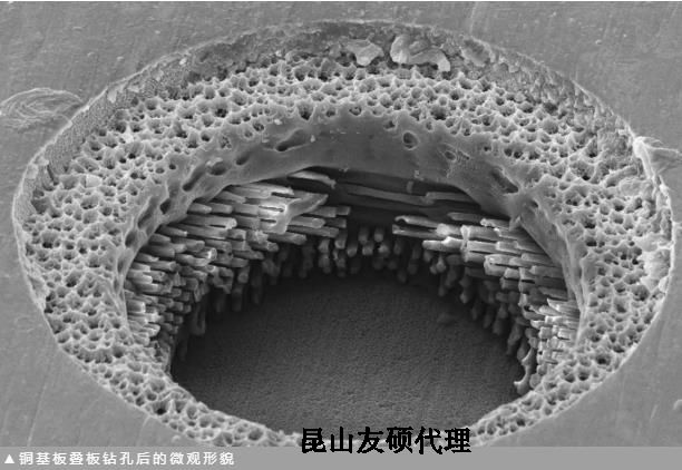 汕头蔡司汕头扫描电镜